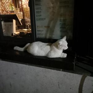 马日男人免费视频视频
